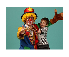 шоу программы